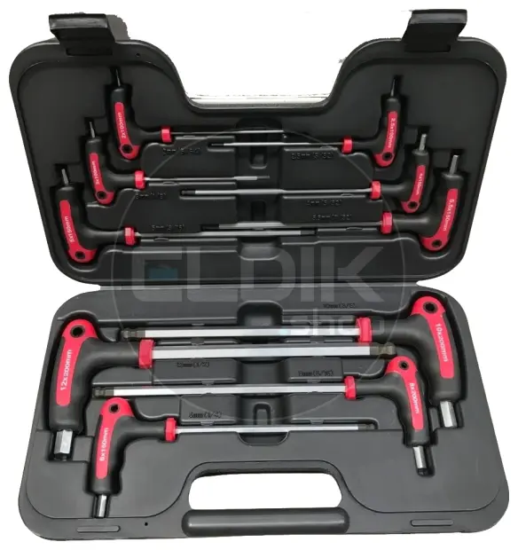 E-Tools 620541 10 delige inbussleutelset met T-greep