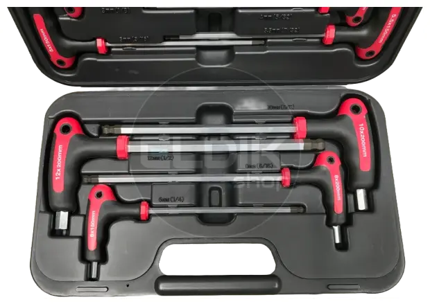 E-Tools 620541 10 delige inbussleutelset met T-greep