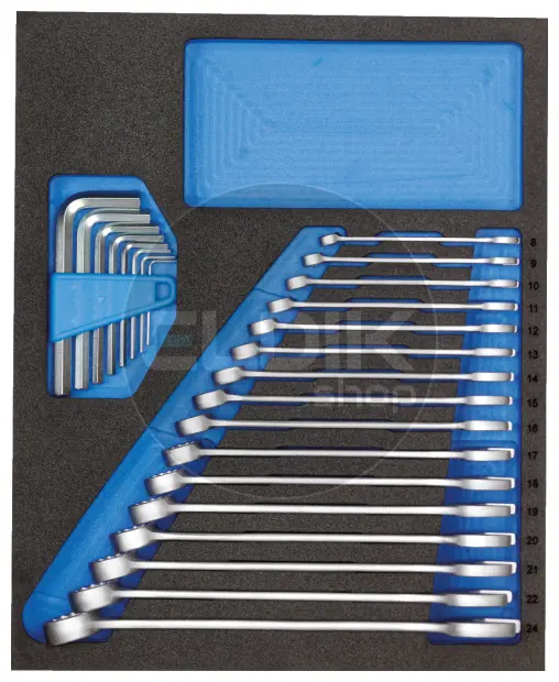 Gedore TS CT2-7 Foam Module 24 Delige Ringsteek - Stiftsleutels - 2957213