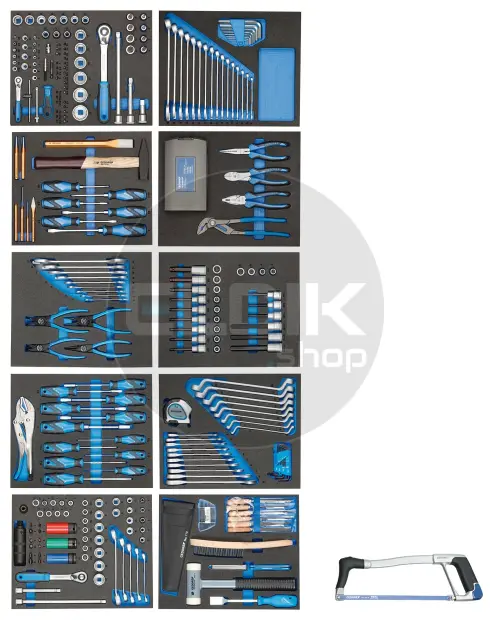Gedore TS-308 Set van 10 modules in Foam Inlays | 308 Delig - 2956535